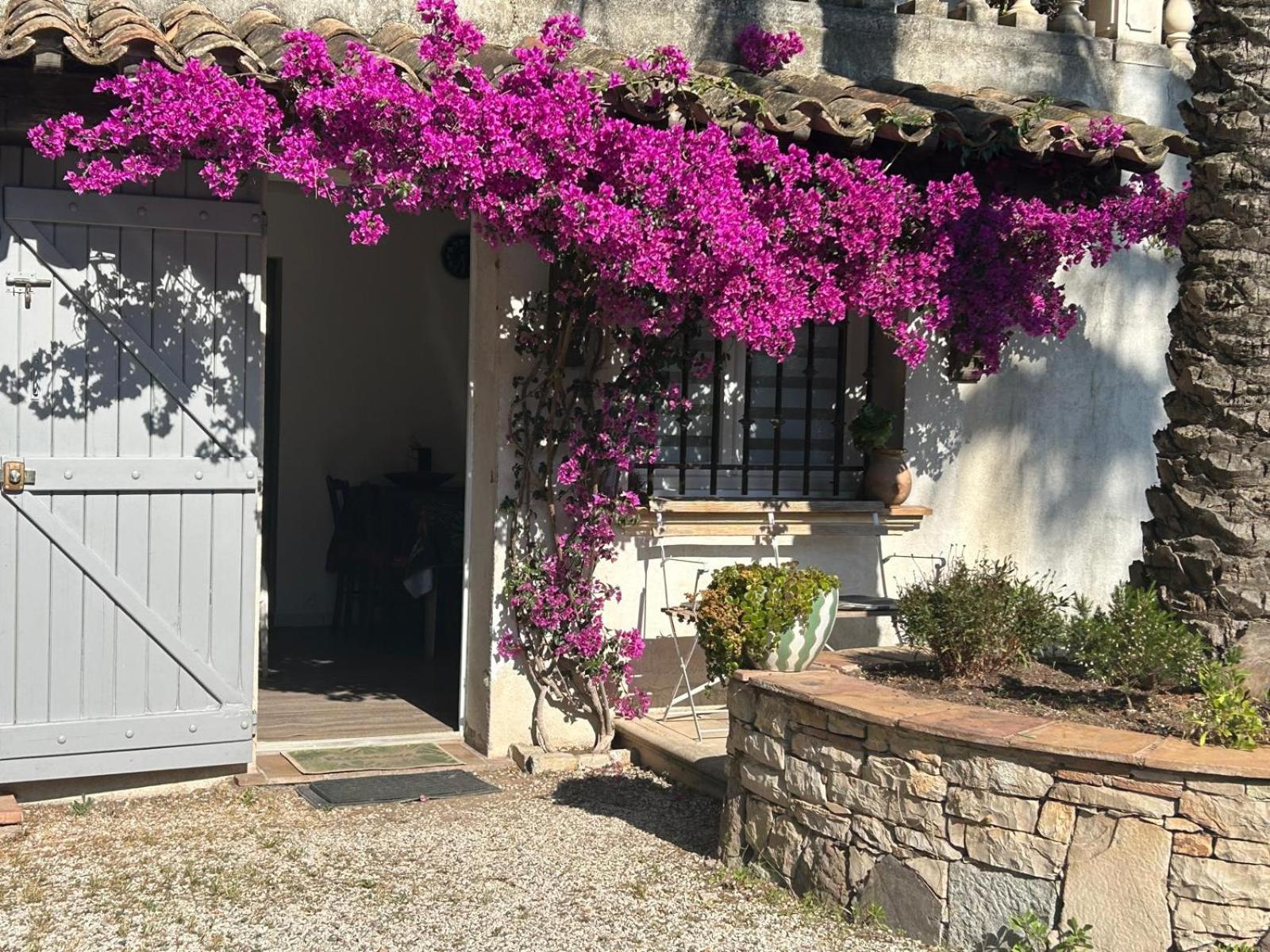 Les Palmiers Apartment Frejus Exterior photo